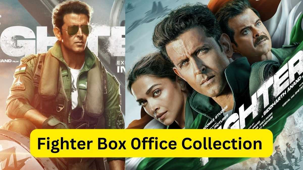 Fighter Box Office Collection